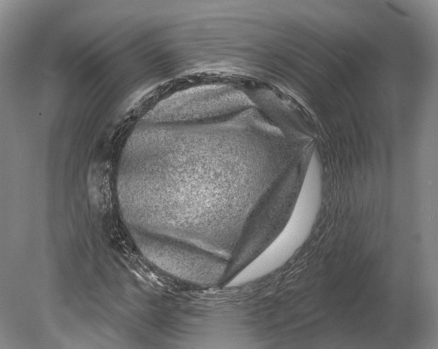 X0000080690968200701051056