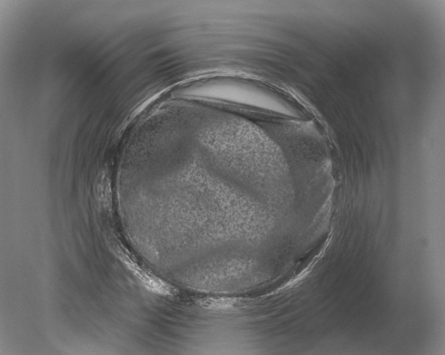 X0000080690969200701051056