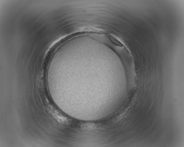 X0000080690971200701051056