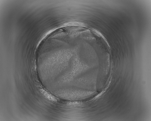 X0000080690973200701051056