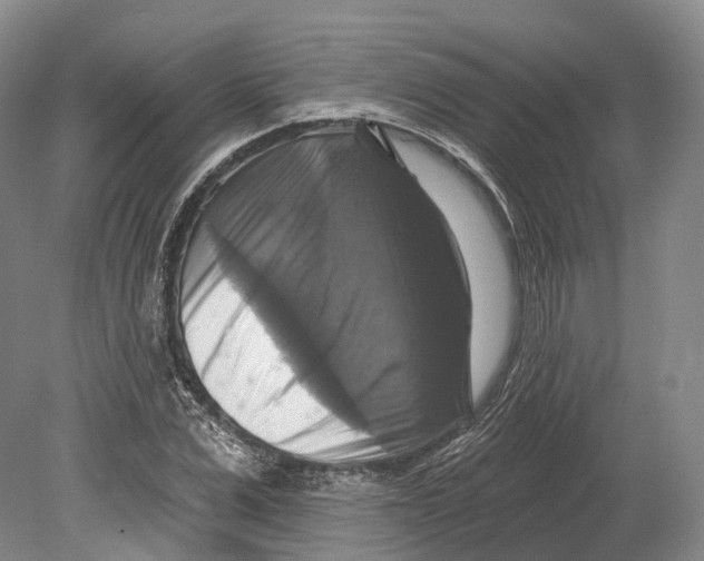 X0000080690975200701051056
