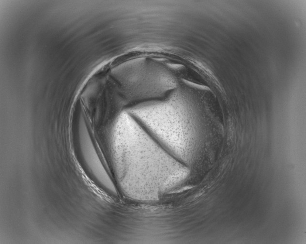X0000080690976200701051056