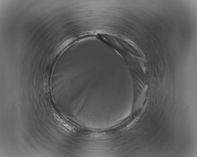 X0000080690977200701051056