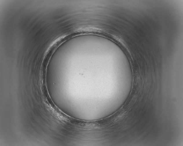 X0000080690979200701051056