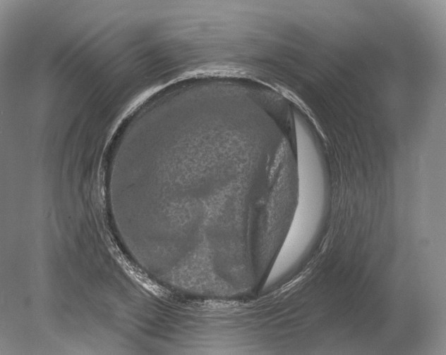X0000080690981200701051055