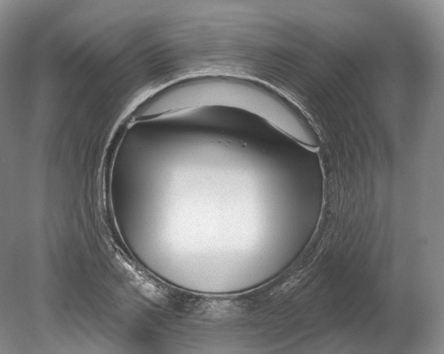 X0000080690982200701051055
