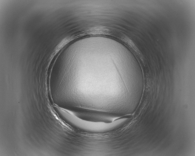 X0000080690986200701051055