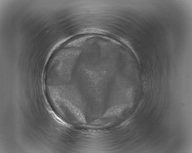 X0000080690987200701051055