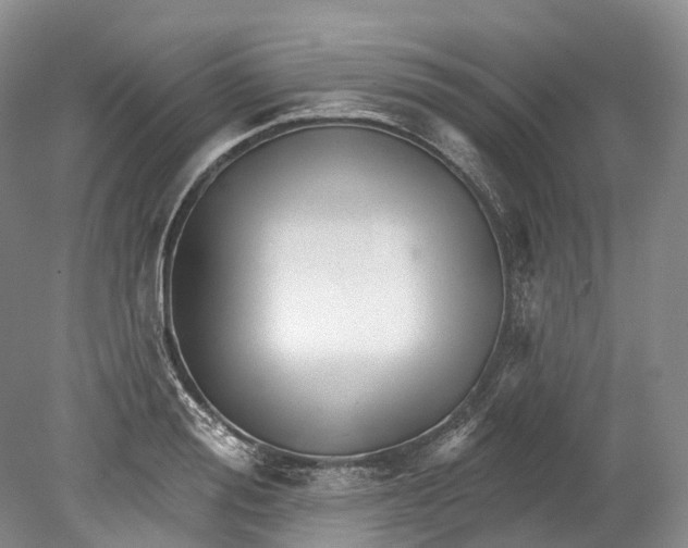 X0000080690988200701051055