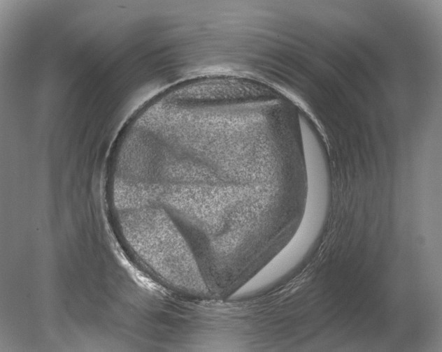 X0000080690991200701051055