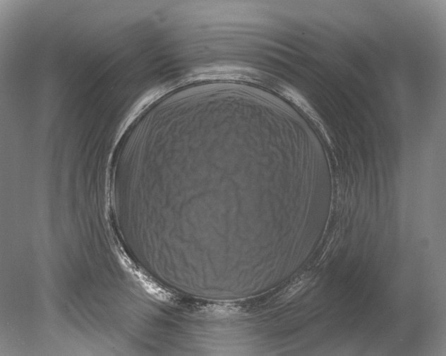 X0000080690994200701051055