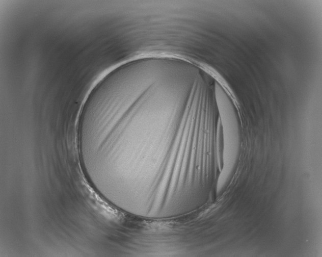 X0000080691004200701051055
