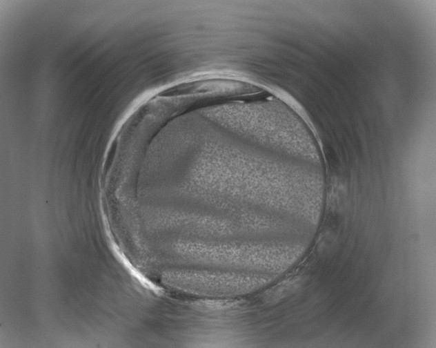X0000080691005200701051055