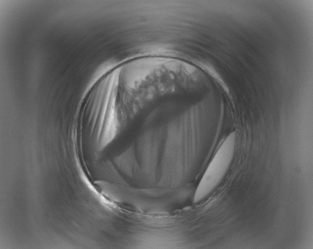 X0000080691007200701051055