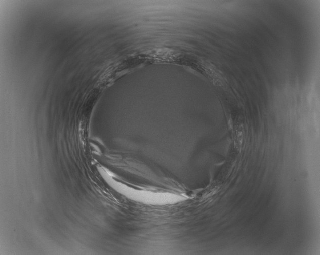 X0000080691010200701051054