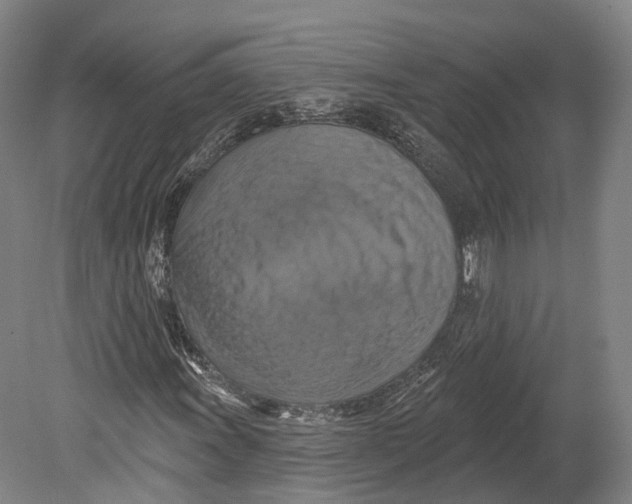 X0000080691011200701051054