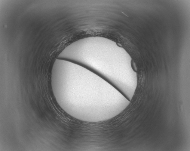 X0000080691012200701051054