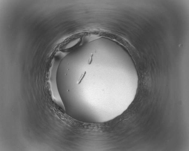 X0000080691016200701051054