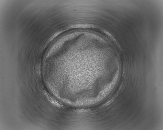 X0000080691017200701051054