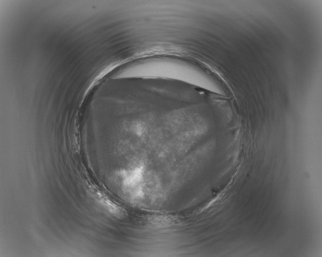 X0000080691018200701051054