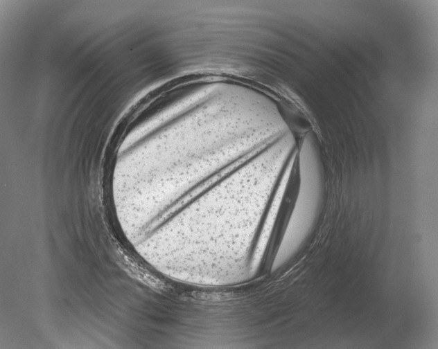 X0000080691020200701051054