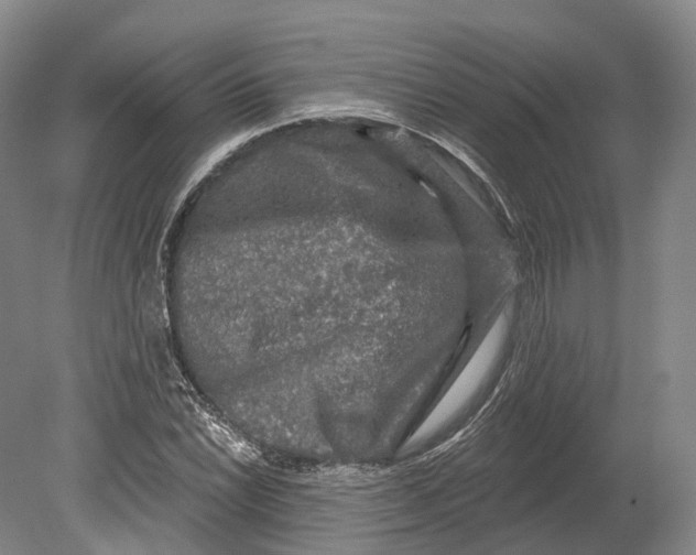 X0000080691022200701051054