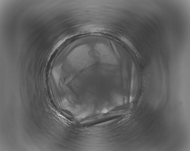 X0000080691023200701051054