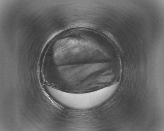 X0000080691024200701051054