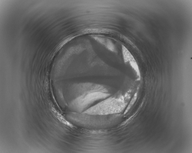X0000080691025200701051054