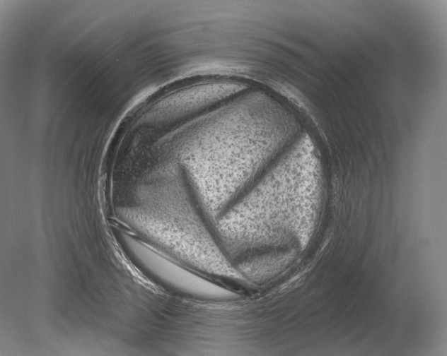 X0000080691029200701051055