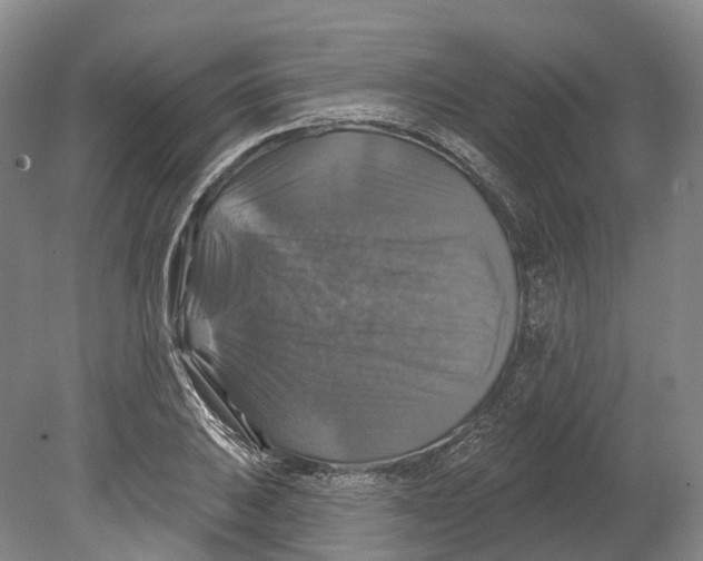 X0000080691031200701051055