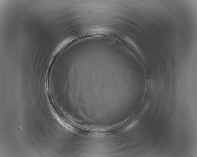X0000080691034200701051055