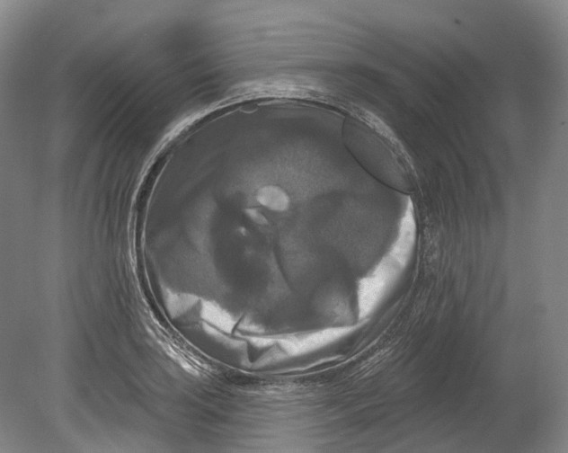 X0000080691035200701051055