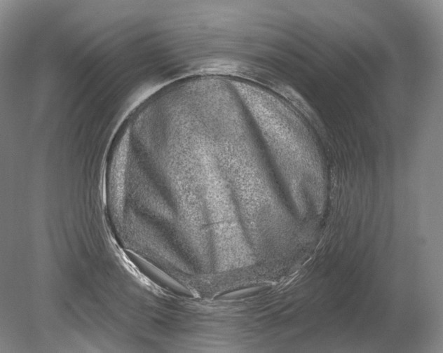 X0000080691036200701051055