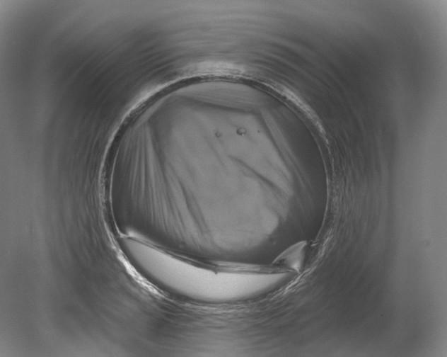 X0000080691037200701051055