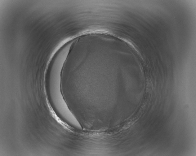 X0000080691038200701051055