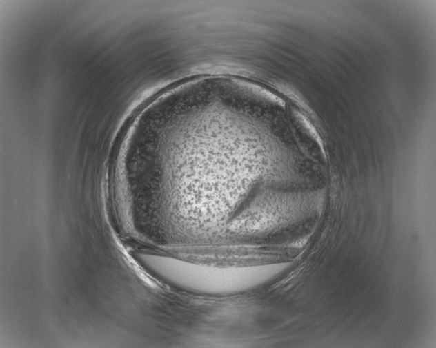 X0000080691040200701051055