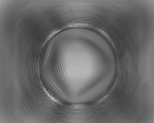 X0000080691041200701051055