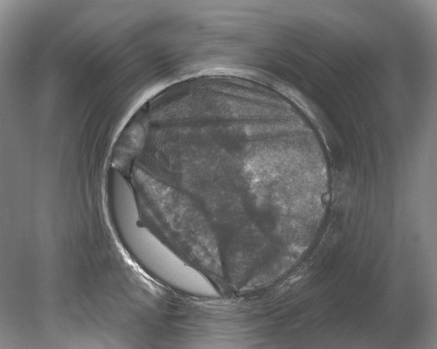 X0000080691048200701051055