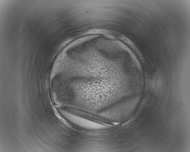 X0000080691049200701051055