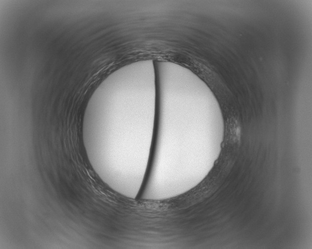 X0000080691060200701051054