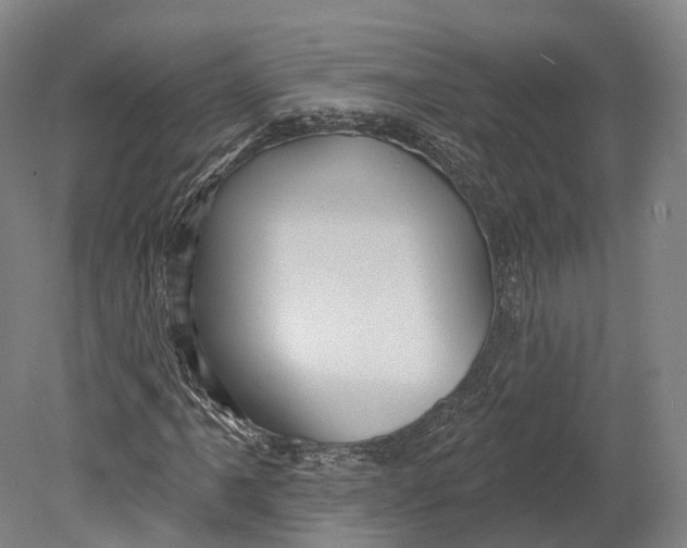 X0000080691061200701051054