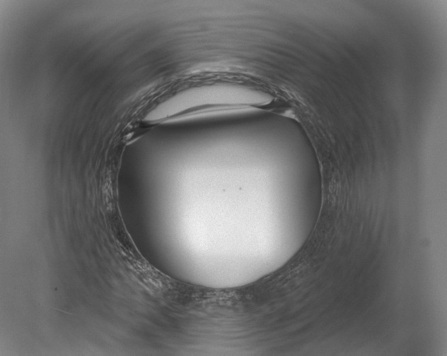X0000080691062200701051054