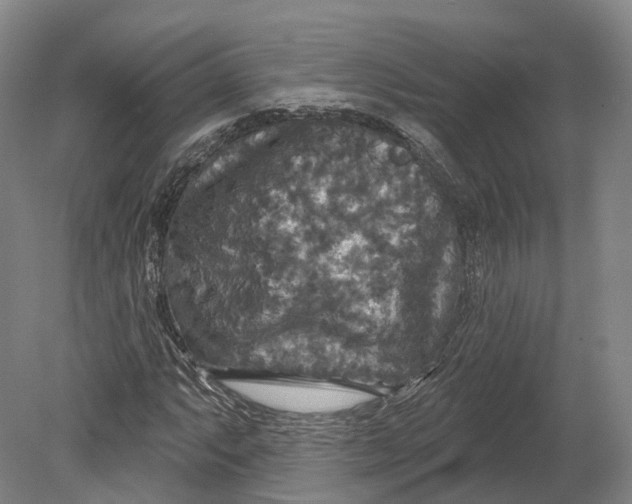 X0000080691063200701051054