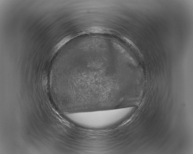 X0000080691065200701051054