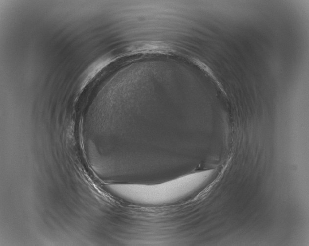 X0000080691066200701051054