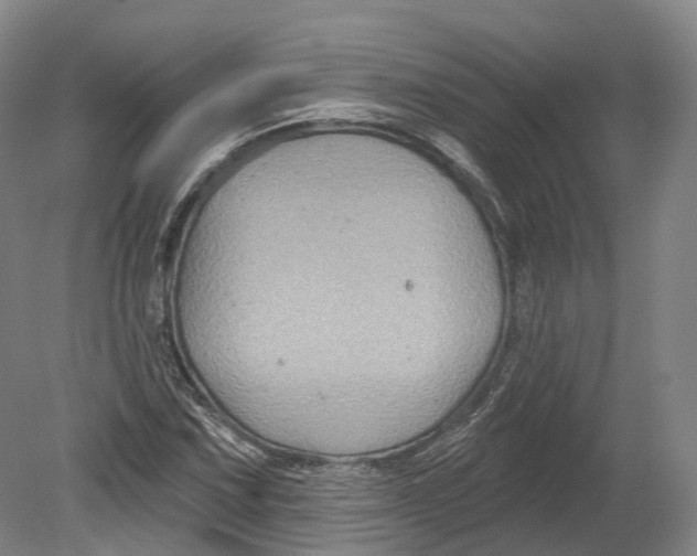 X0000080691067200701051054