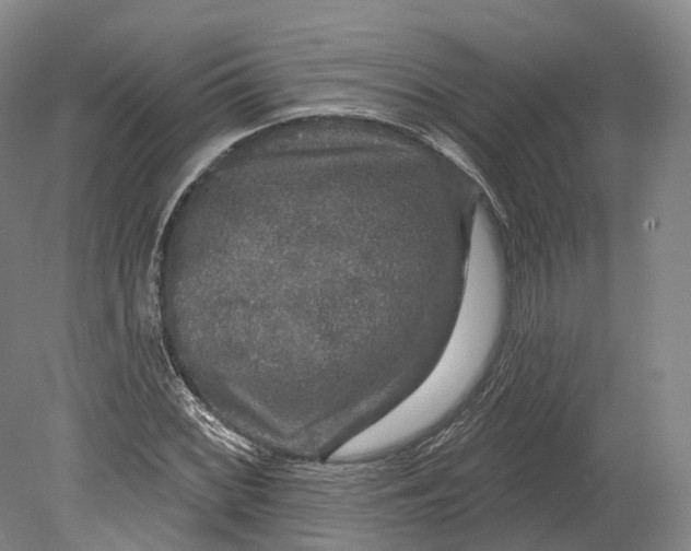 X0000080691068200701051054