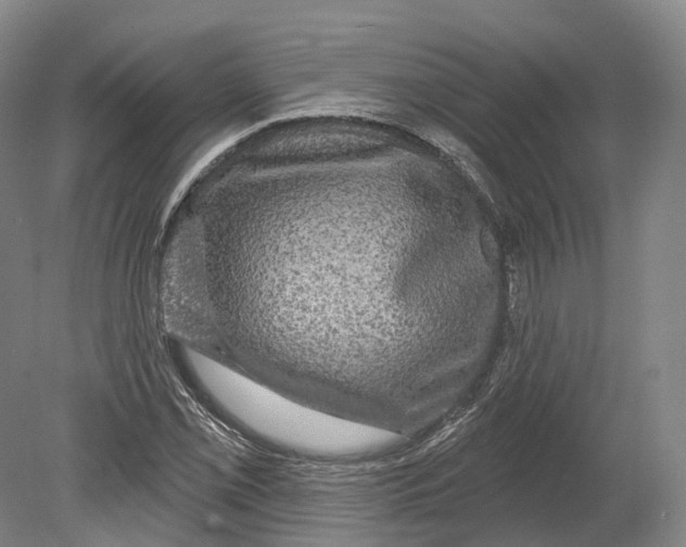 X0000080691069200701051054