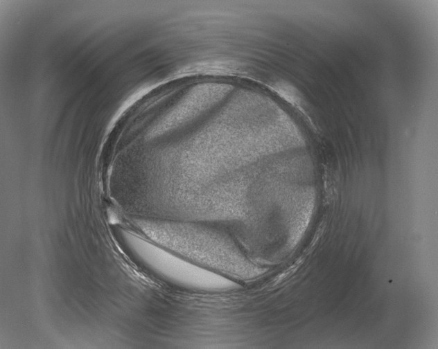 X0000080691070200701051054